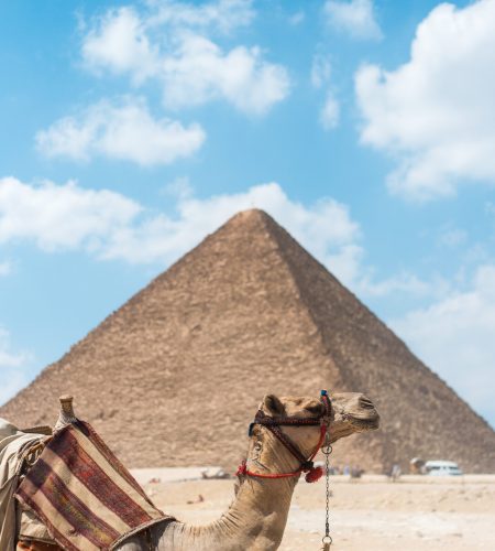 Egipto ruta del nilo plan a